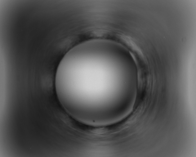 X0000092270505200709211139