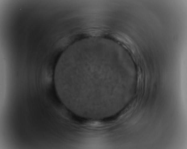 X0000092270507200709211139