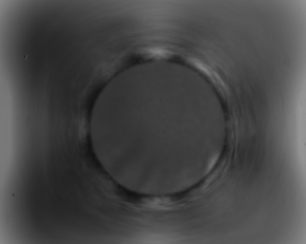 X0000092270517200709211139
