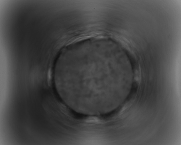 X0000092270519200709211139