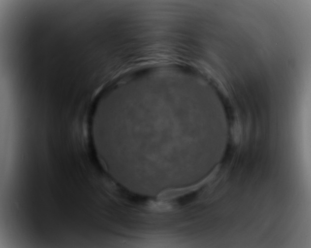 X0000092270520200709211139