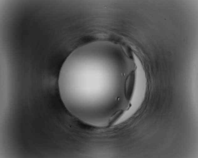 X0000092270521200709211139