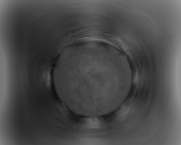 X0000092270524200709211139