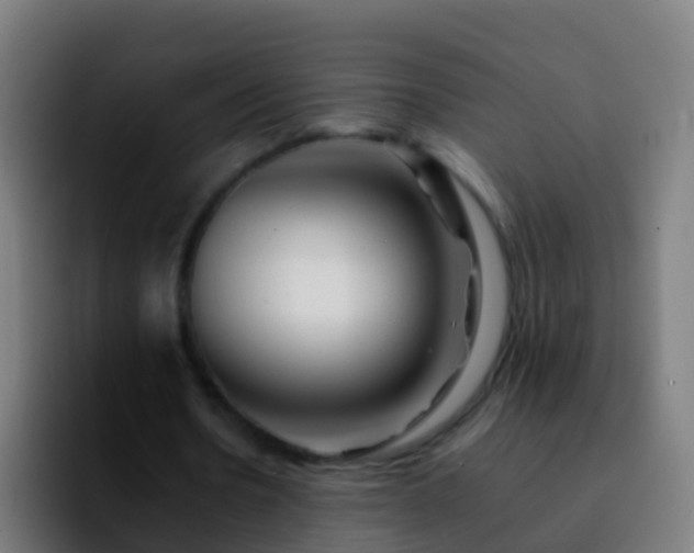X0000092270530200709211139