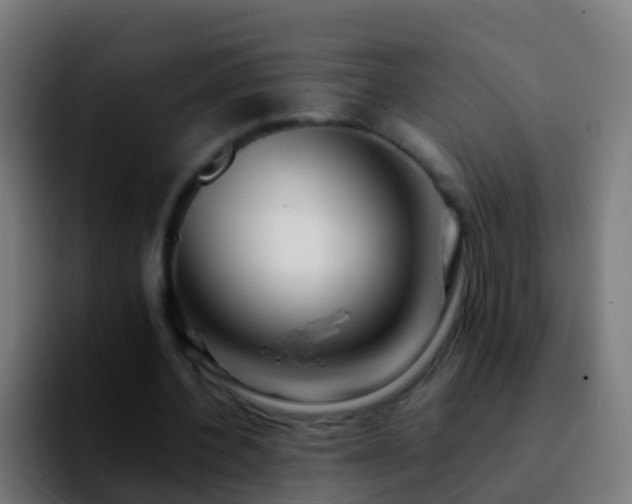 X0000092270532200709211139