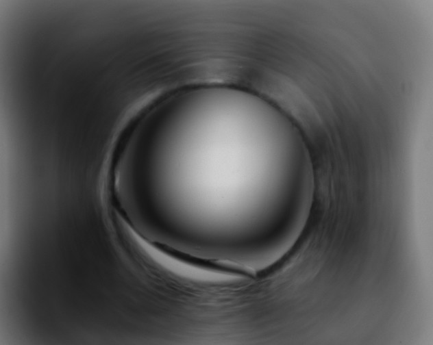 X0000092270536200709211139