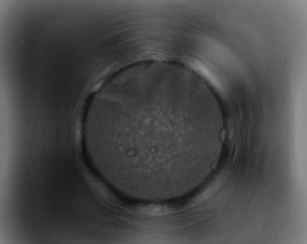 X0000092270542200709211139