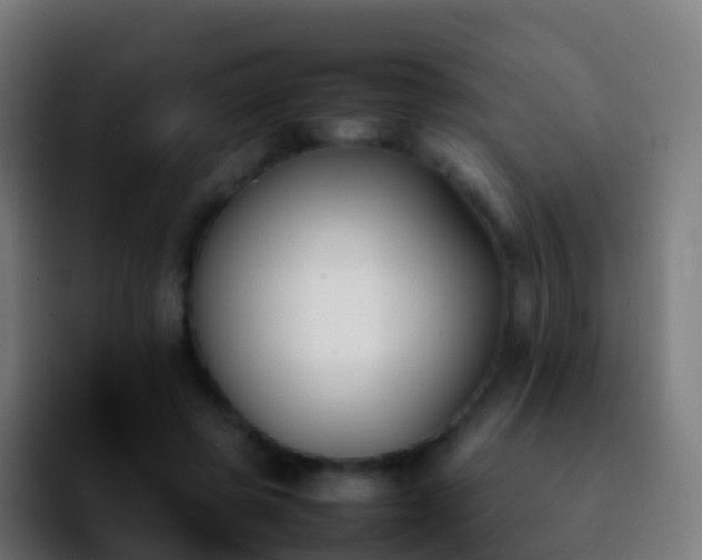 X0000092270545200709211139