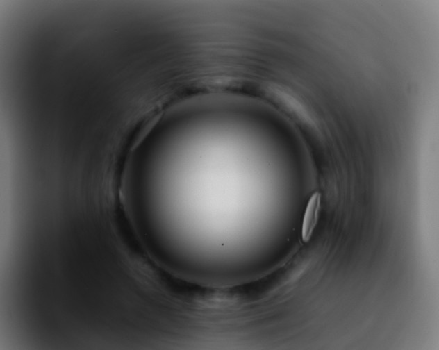 X0000092270546200709211139