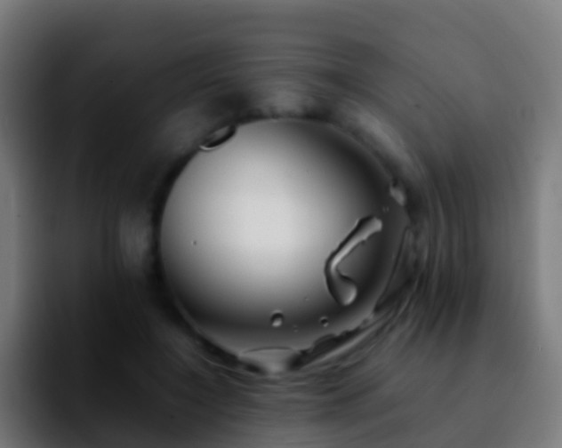 X0000092270548200709211139