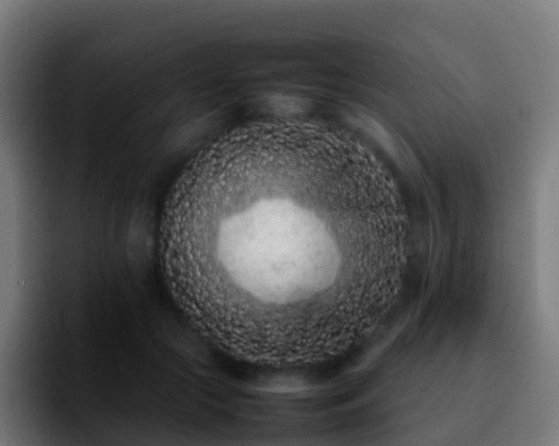 X0000092270553200709211139