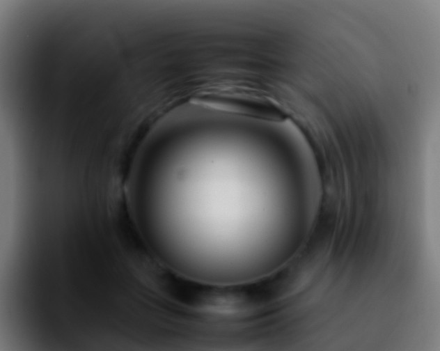 X0000092270555200709211139