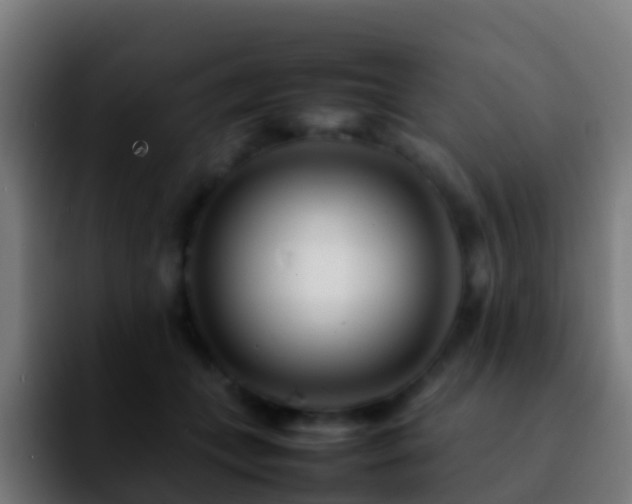 X0000092270559200709211139