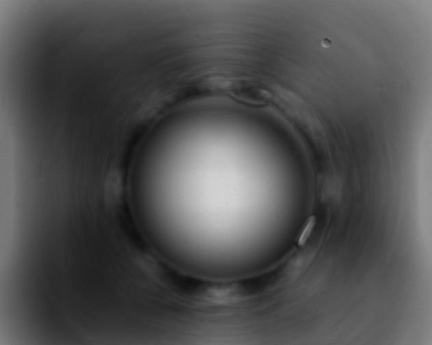 X0000092270560200709211139