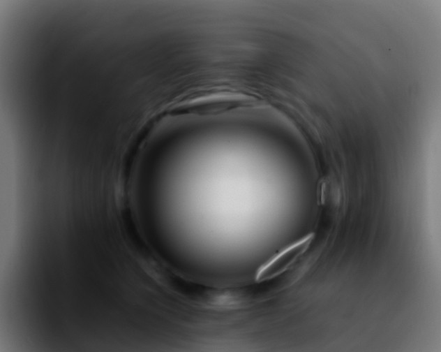 X0000092270564200709211139