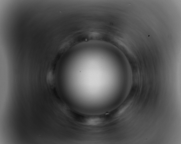 X0000092270575200709211139