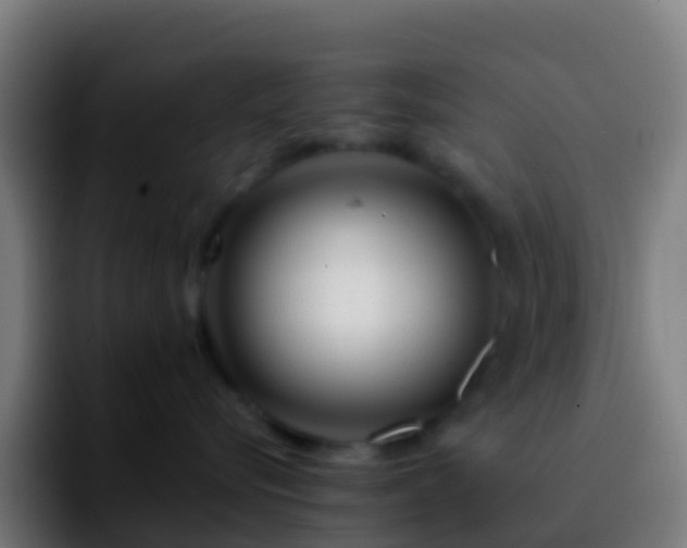 X0000092270576200709211139