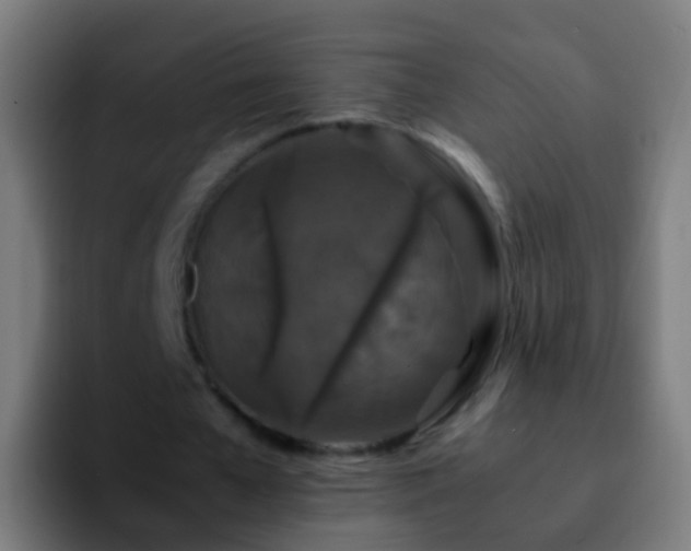 X0000092270577200709211139