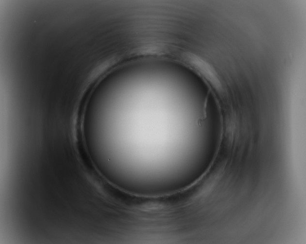 X0000092270578200709211139