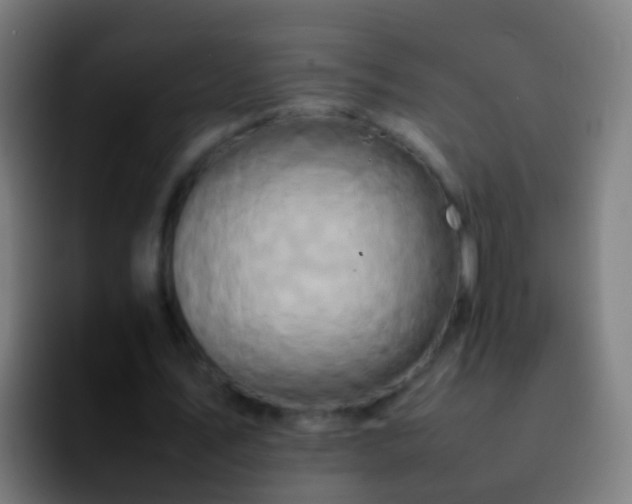 X0000092270579200709211139