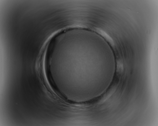 X0000092270580200709211139