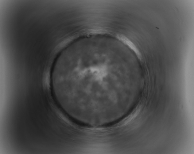X0000092270581200709211139