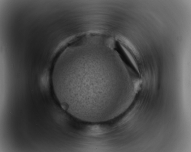 X0000092270588200709211138
