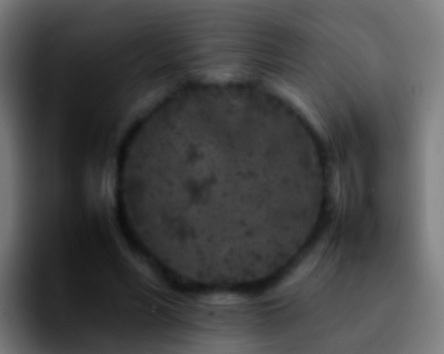 X0000092270590200709211138
