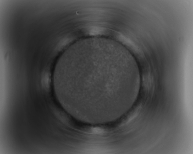 X0000092270592200709211138
