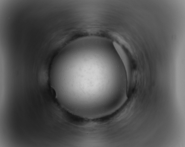 X0000092270593200709211138