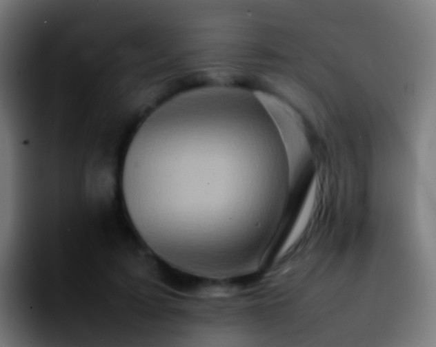 X0000092270595200709211138