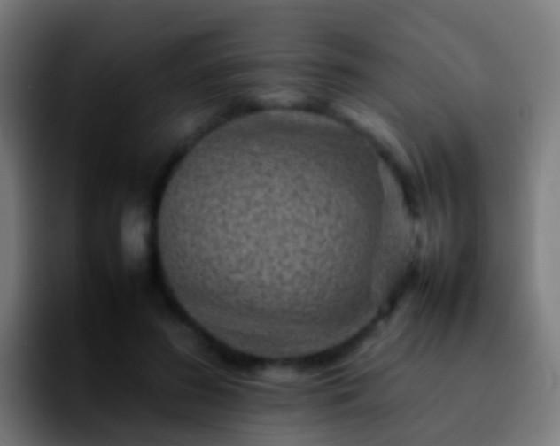 X0000092270596200709211138