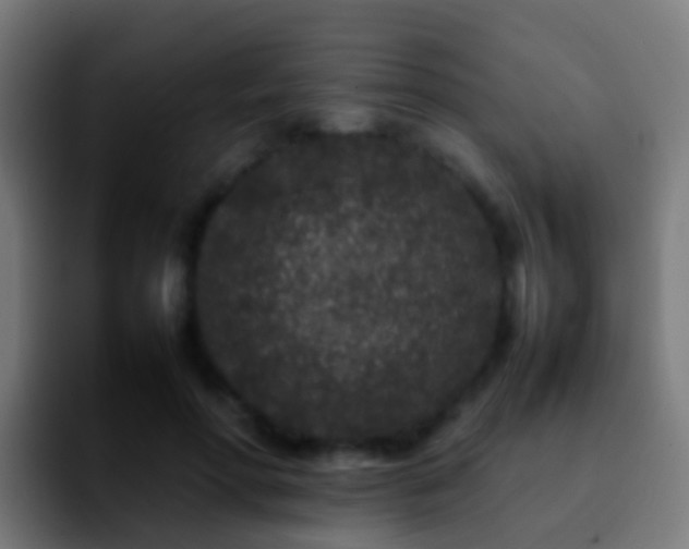 X0000092270598200709211138