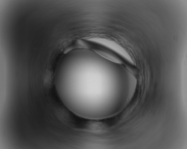 X0000092270605200709211138