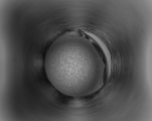 X0000092270608200709211138