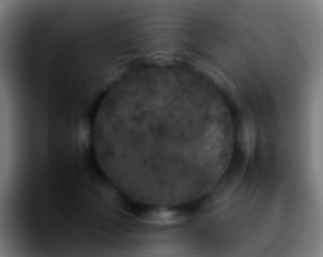 X0000092270610200709211138