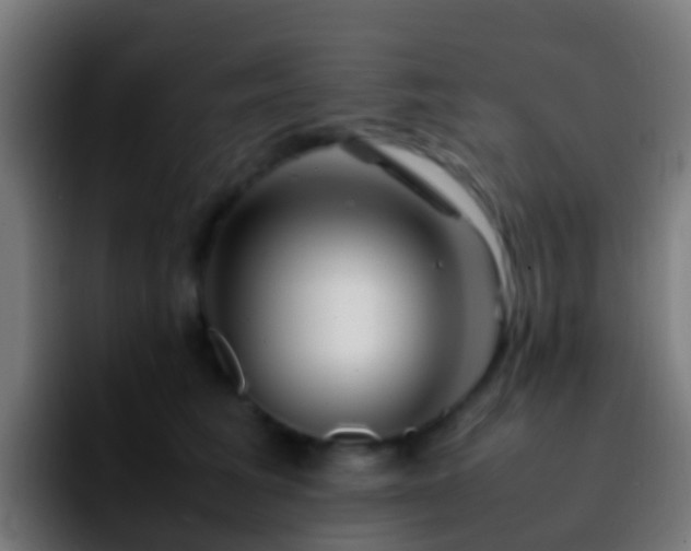 X0000092270613200709211138