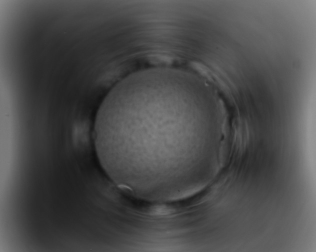 X0000092270616200709211138