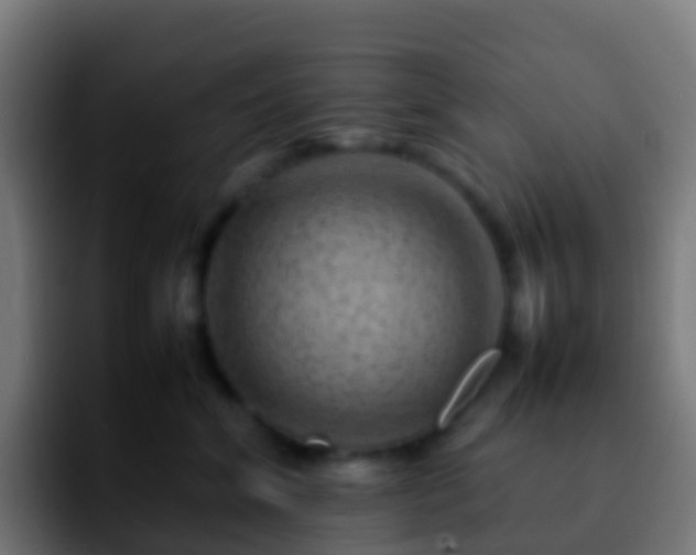 X0000092270620200709211138