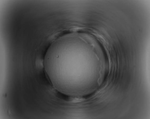 X0000092270621200709211138