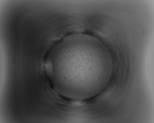 X0000092270624200709211138