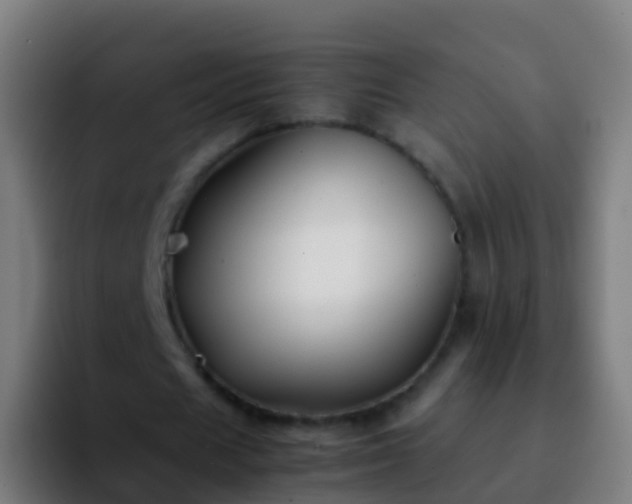 X0000092270625200709211137