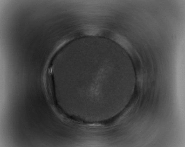 X0000092270626200709211137