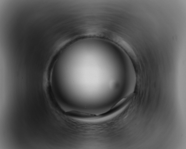 X0000092270628200709211137