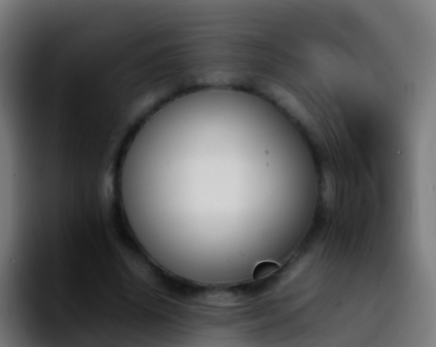 X0000092270636200709211138