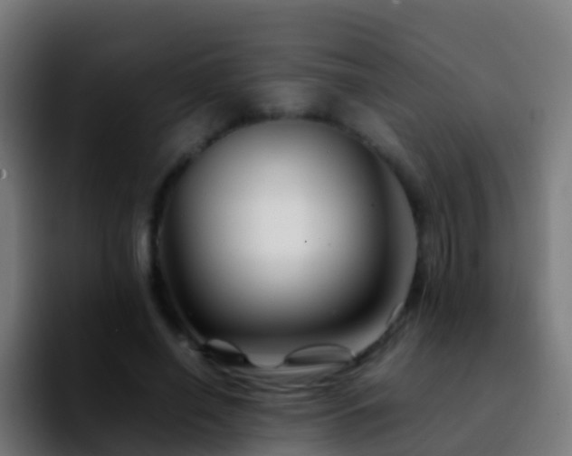 X0000092270638200709211138