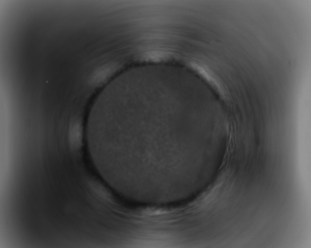 X0000092270640200709211138