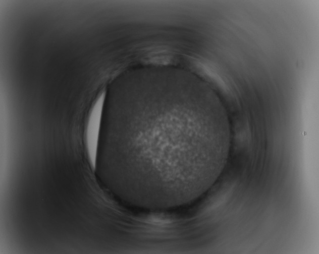 X0000092270641200709211138