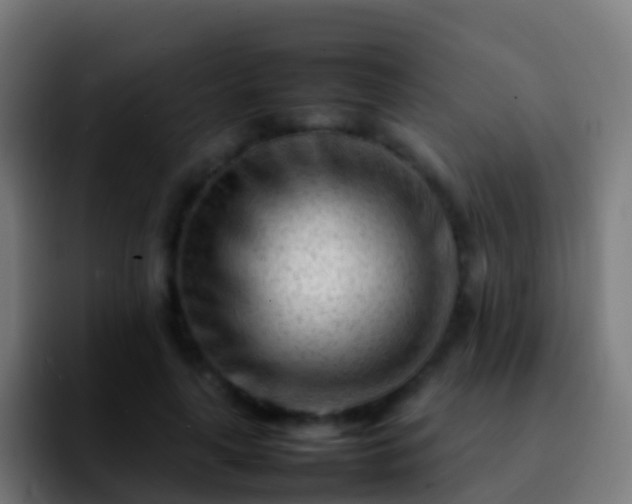 X0000092270643200709211138