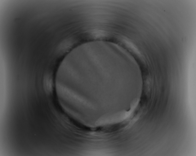 X0000092270644200709211138